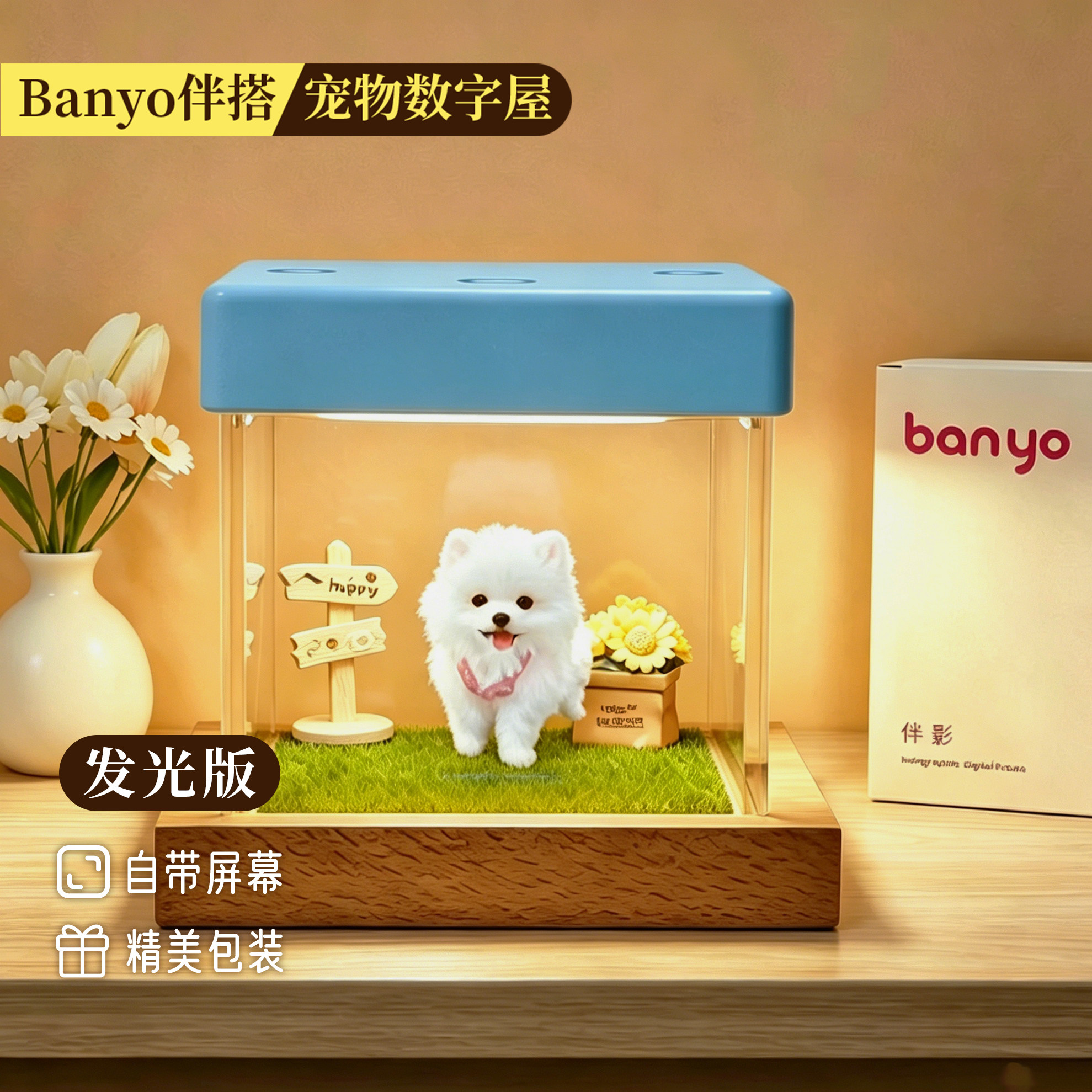 Standalone Box